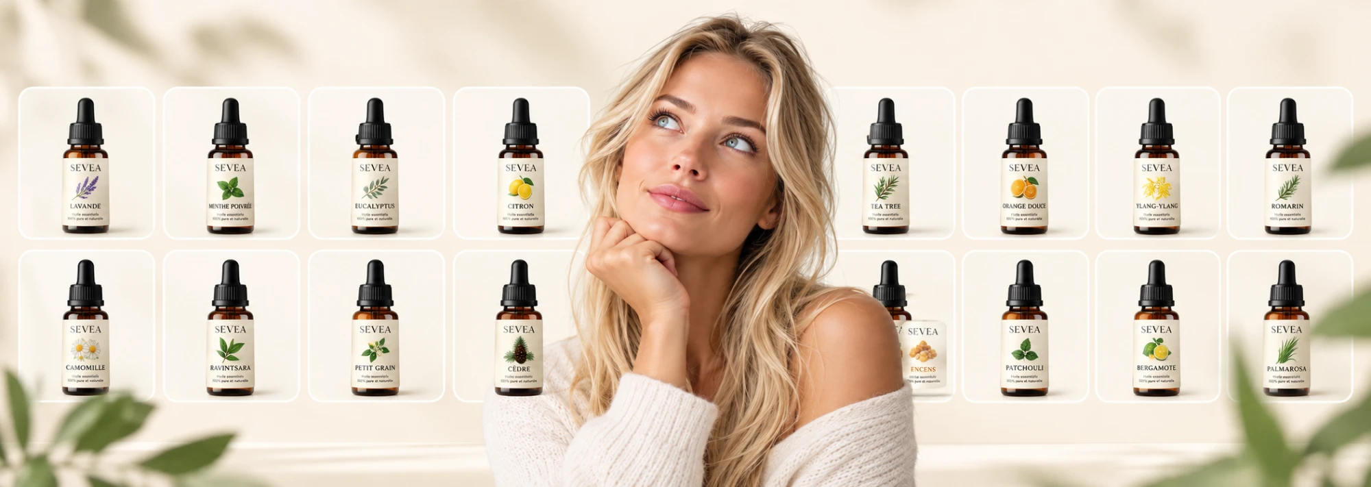 La gamme AROMAPLAN : une grille de flacons d’huiles essentielles — lavande, menthe poivrée, eucalyptus, citron, camomille, ravintsara et d’autres.